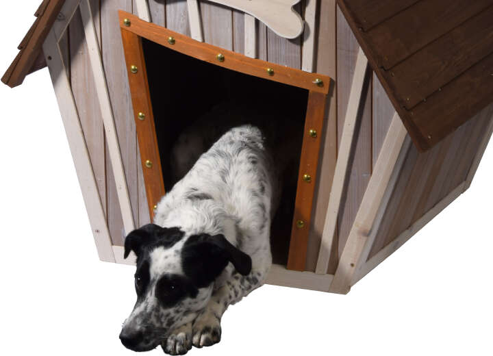 dobar Hundehütte Hubi